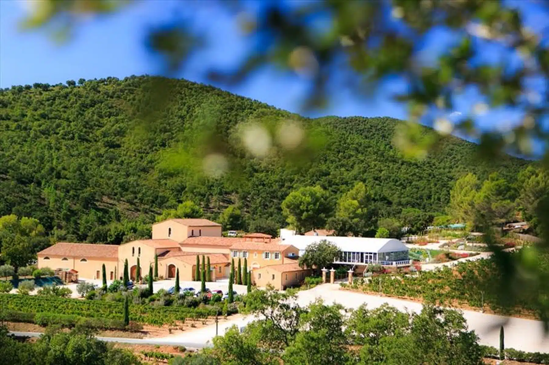 Covigneron Cuvée trimestrielle Château Pas du Cerf rosé vin