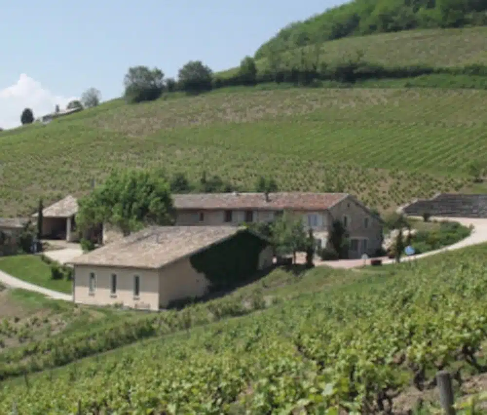 Covigneron Parrainage de vignes Domaine Baron de l'Ecluse rouge