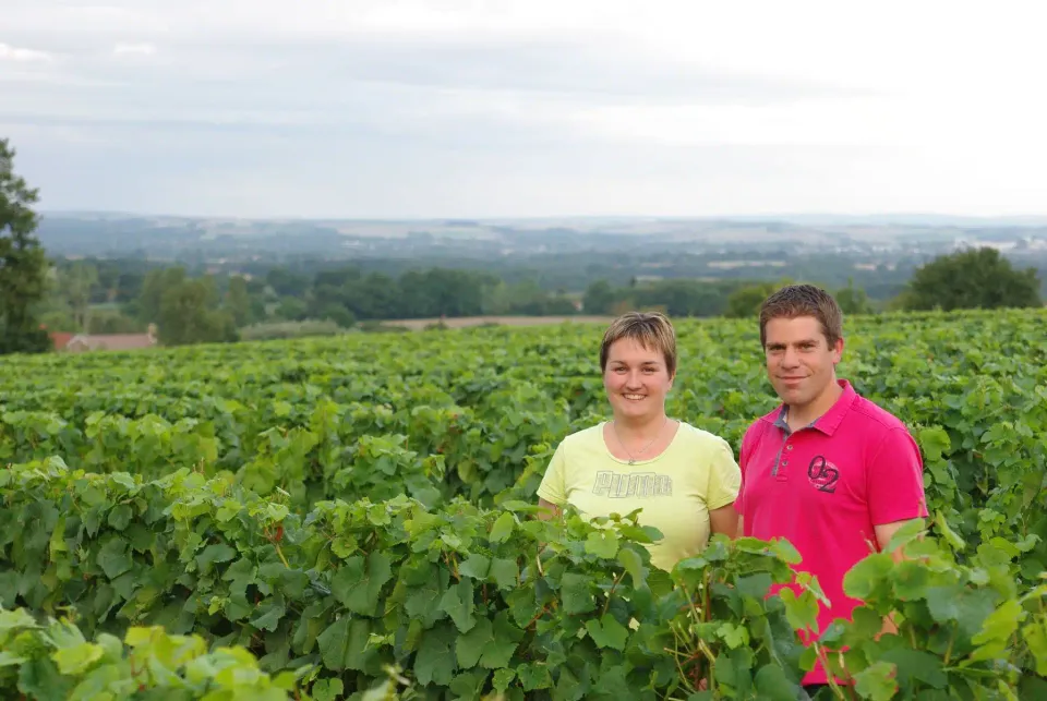 Covigneron Parrainage de vignes coffret belle expérience 6 bouteilles