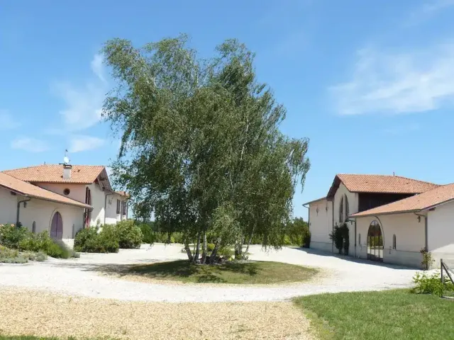 Covigneron Parrainage de vignes coffret parrain de vigne