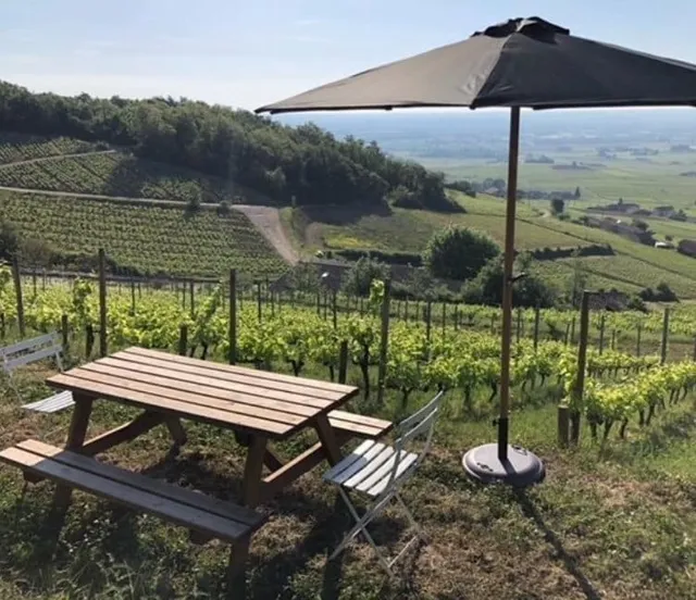 Covigneron Vinescapades pique-nique Baron de l'Ecluse Rhône
