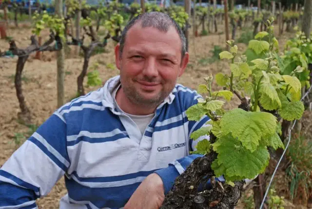 Covigneron Parrainage de vignes parrainage vigne Vallée du Rhône rouge