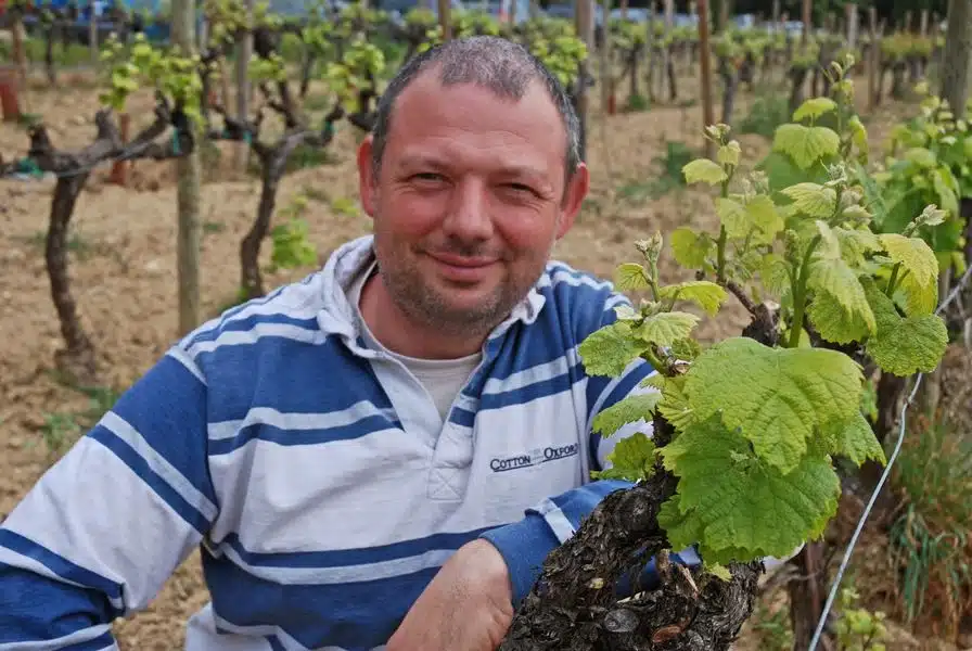 Covigneron Parrainage de vignes parrainage vigne Vallée du Rhône rouge