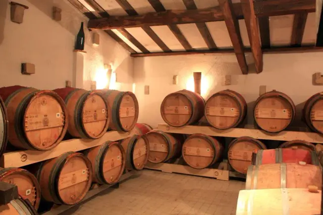 Covigneron Vinescapades Vendanges expérience vin