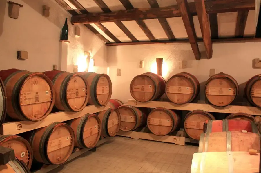 Covigneron Vinescapades Vendanges expérience vin