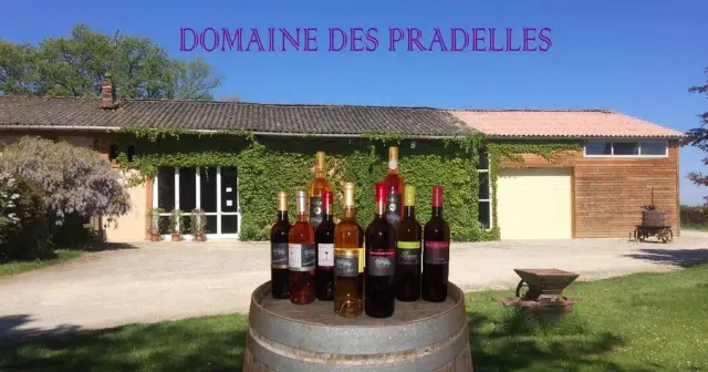 Covigneron Vinescapades L'art des assemblages atelier vin