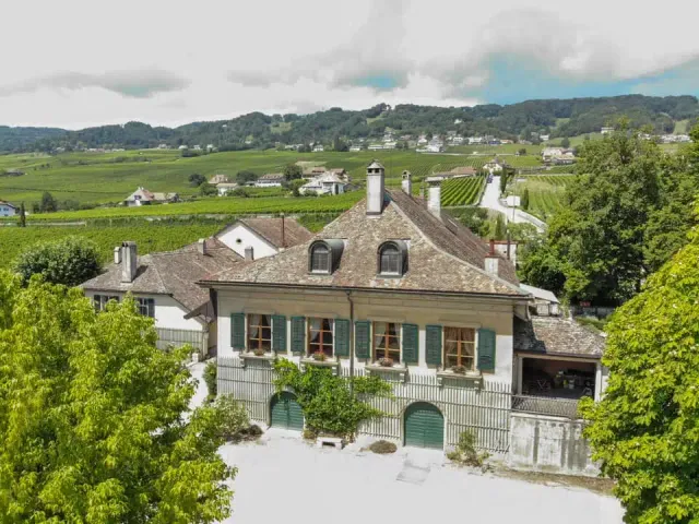 Covigneron Parrainage de vignes vigne cadeau Vallée du Rhône