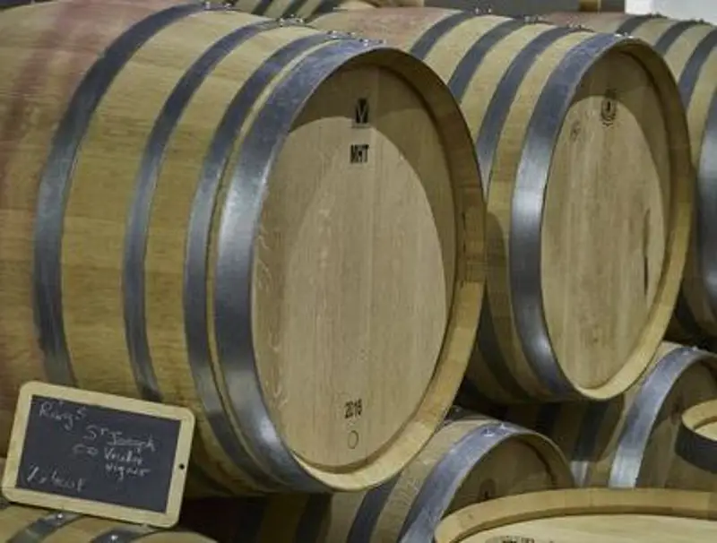 Covigneron Parrainage Domaine Grenier St Joseph Condrieu vin